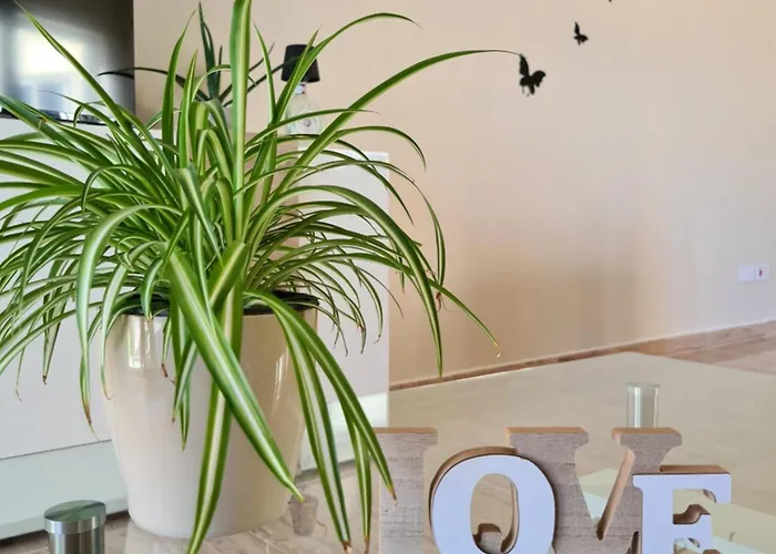 منزل للإقامة Richard's Living *